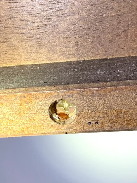 Daps Pest Services Picture 6