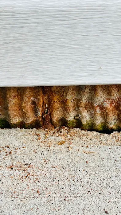 Daps Pest Services Picture 4
