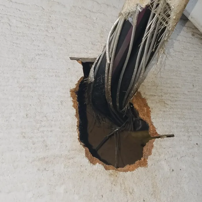 South Central Wildlife Removal & Home Solutions Picture 2
