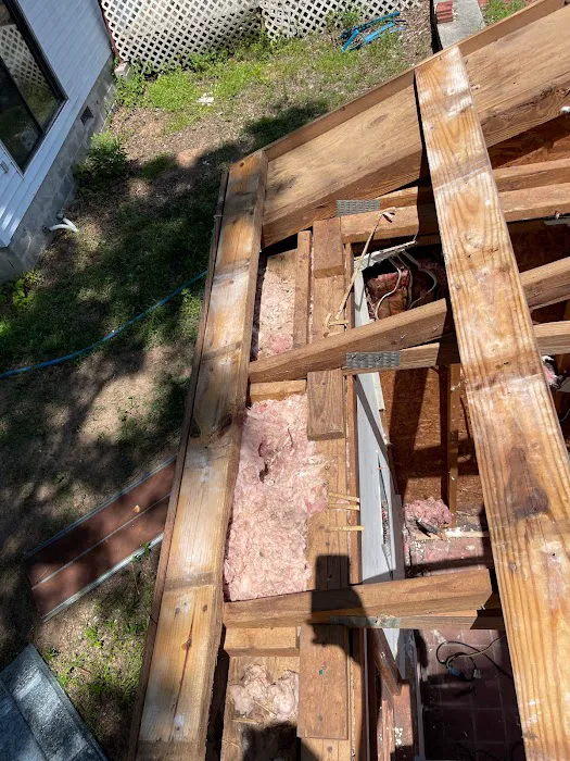 South Central Wildlife Removal & Home Solutions Picture 9