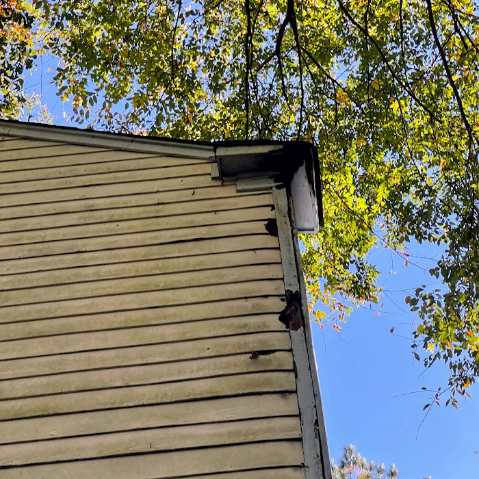 South Central Wildlife Removal & Home Solutions Picture 7