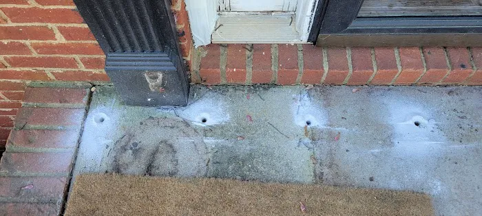 All South Pest Control Picture 3