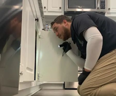 All South Pest Control