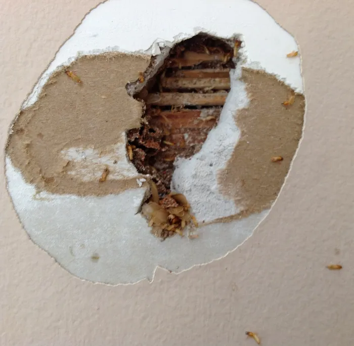 Clark Pest Remedy Picture 9