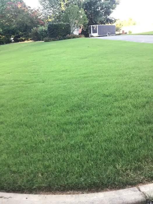 Rocket Pest Control Picture 8