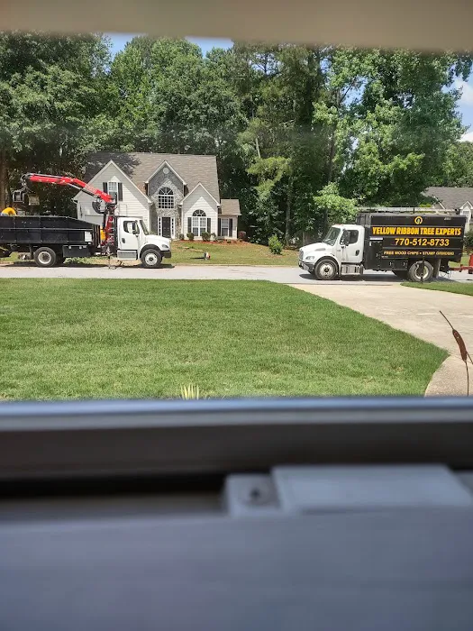 Rocket Pest Control Picture 4