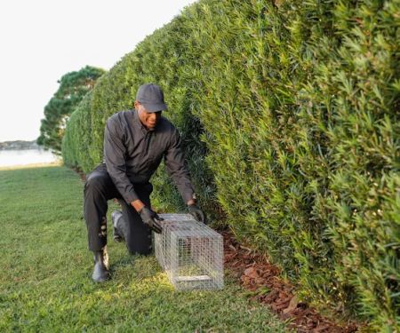 Active Pest Control