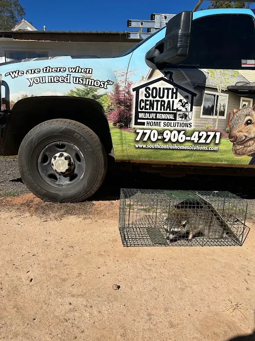 South Central Wildlife Removal & Home Solutions LLC. Picture 6