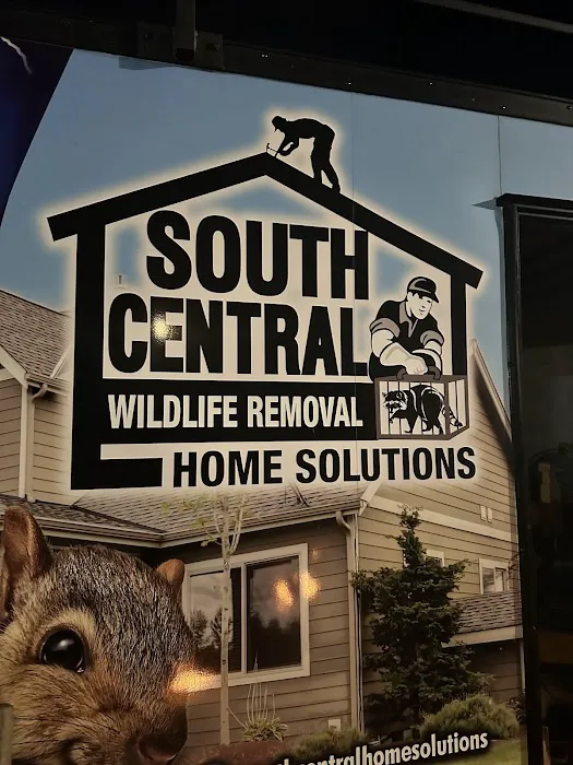 South Central Wildlife Removal & Home Solutions LLC. Picture 3