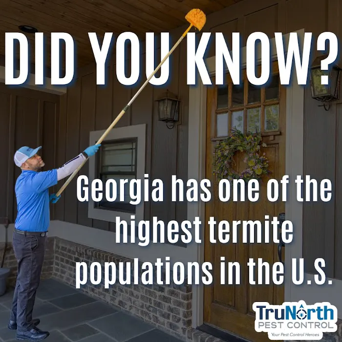 TruNorth Pest Control Picture 4