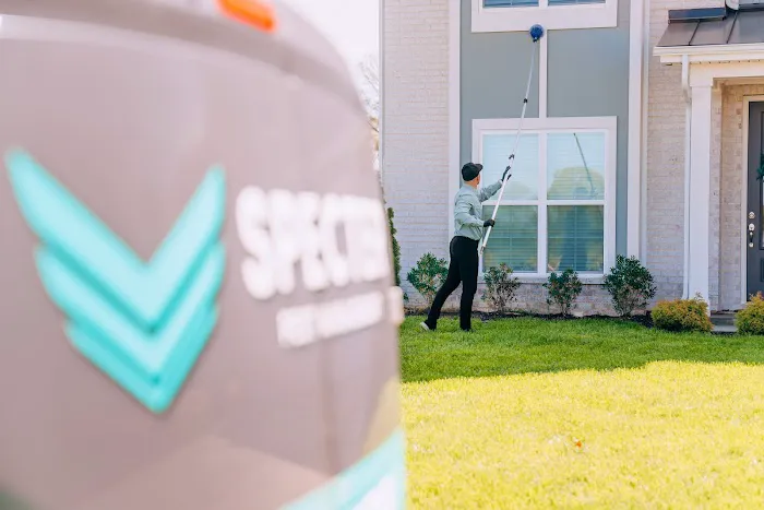 Specter Pest Control Picture 2