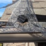 Wildlife Control Specialist of Atlanta