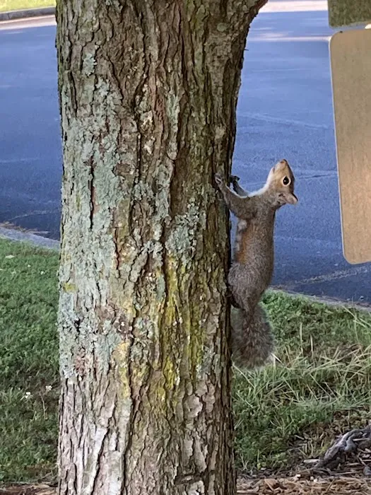 Wildlife Control Specialist of Atlanta Picture 9