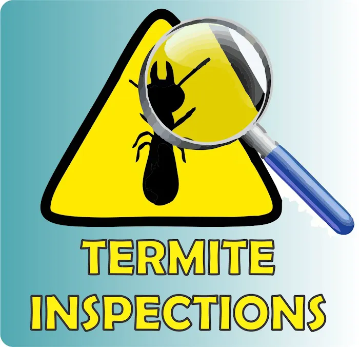 ALIS Termite Pest Control Picture 7