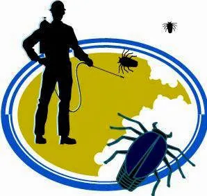 ALIS Termite Pest Control Picture 2