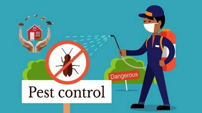 ALIS Termite Pest Control Picture 4