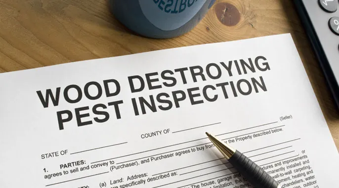 ALIS Termite Pest Control Picture 5