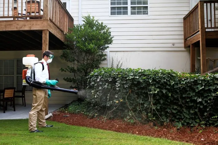 A1 Bed Bug Exterminator Atlanta Picture 2