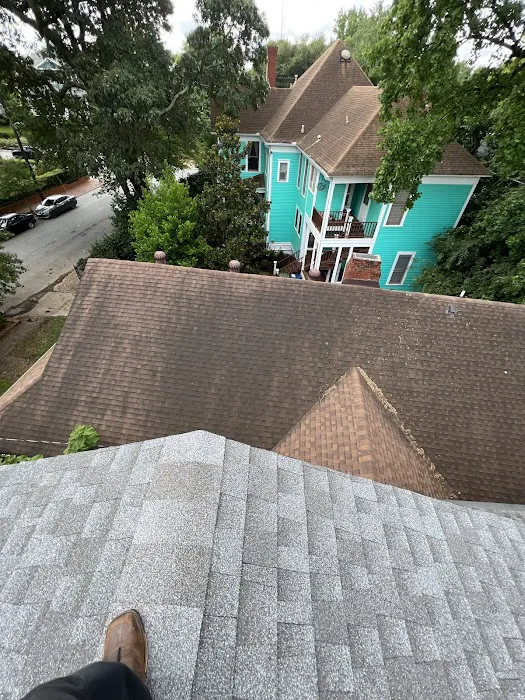 Rodent Removal Atlanta, LLC Picture 2