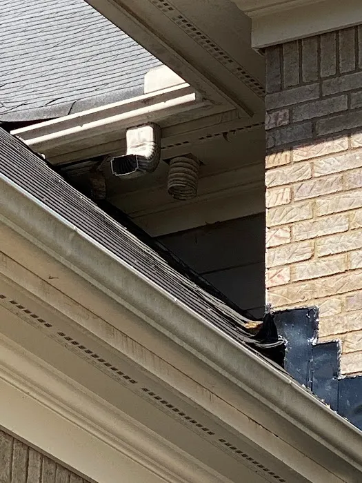 Rodent Removal Atlanta, LLC Picture 7