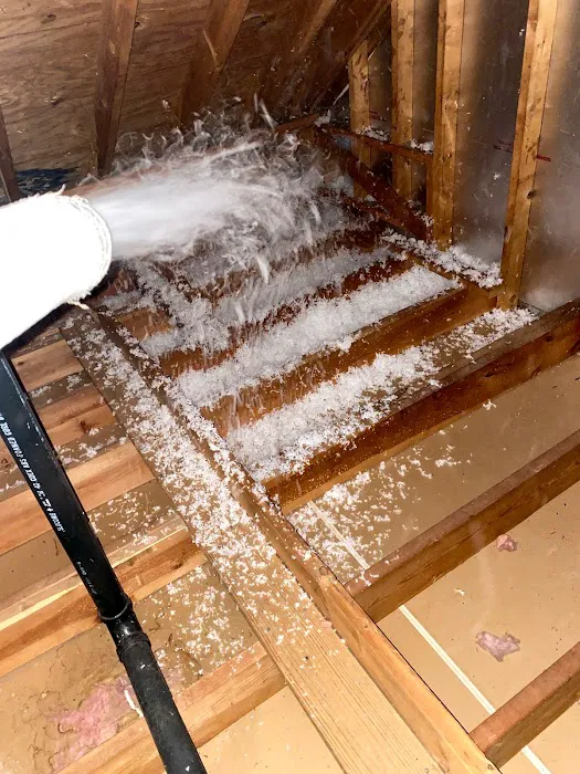 Rodent Removal Atlanta, LLC Picture 4