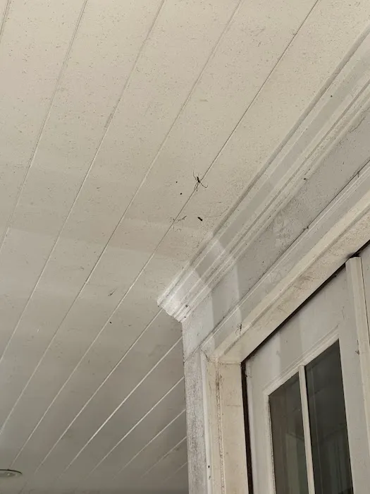 RIDD Pest Control Picture 7