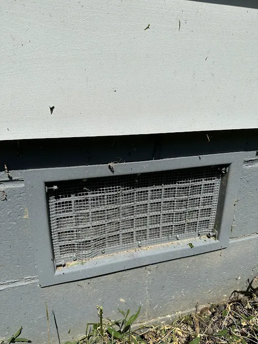 Arrow Exterminators Picture 4