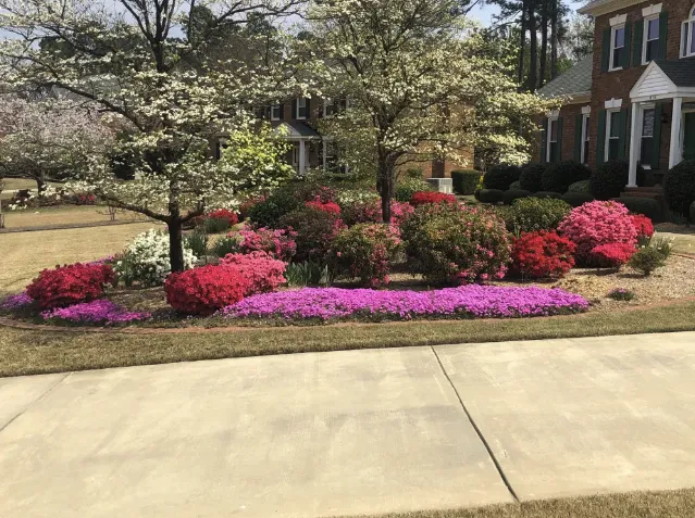 Kathleen's Lawn & Shrub Pest Control Picture 8
