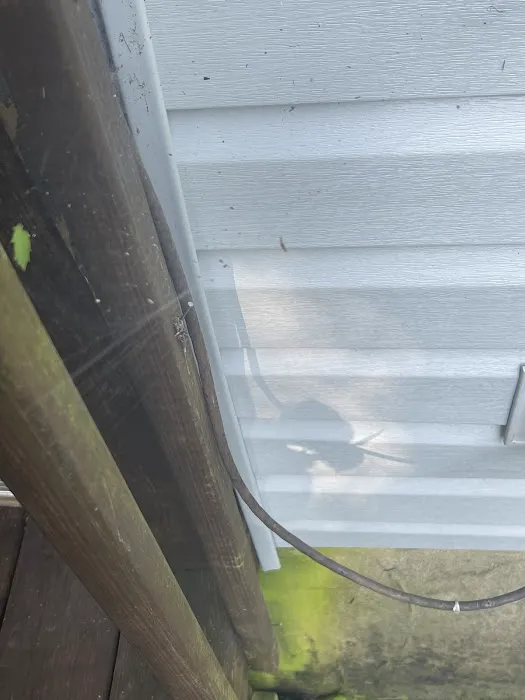 Peachtree Pest Control Picture 7