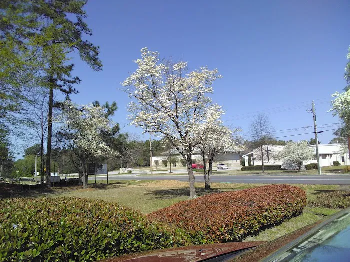Massey Services Pest Control Picture 2