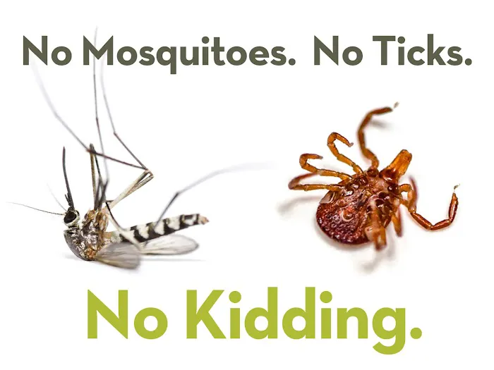 Mosquito Squad of Augusta Picture 3