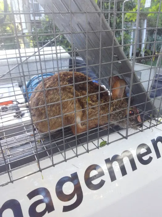 Lowcountry Pest Management and Rodent Control Picture 3