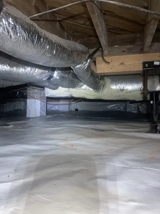 Lowcountry Pest Management and Rodent Control Picture 2