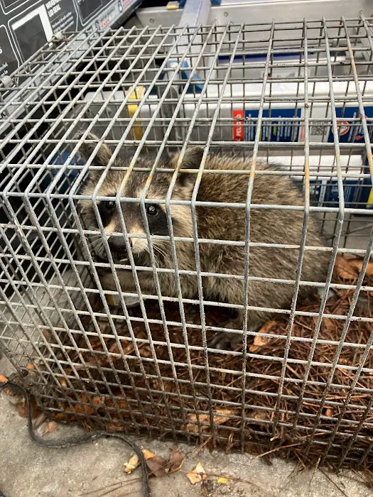 Lowcountry Pest Management and Rodent Control Picture 5