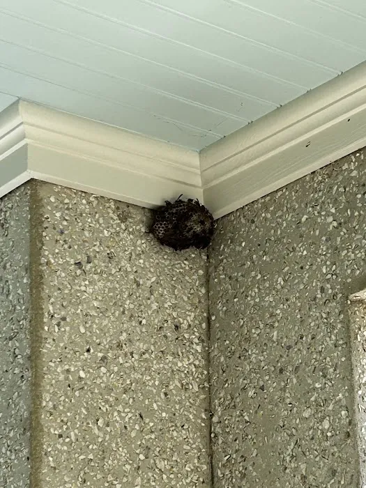 Lowcountry Pest Management and Rodent Control Picture 7