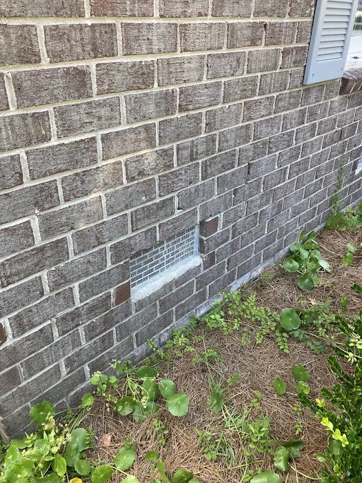 Lowcountry Pest Management and Rodent Control Picture 8