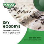 Knox Pest Control - Statesboro