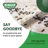 Knox Pest Control - Statesboro ico