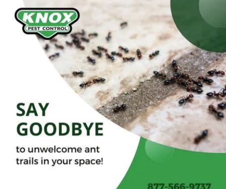 Knox Pest Control - Statesboro