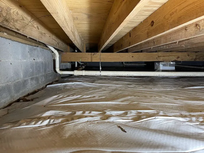 Quality Exterminators of Georgia Inc Picture 1