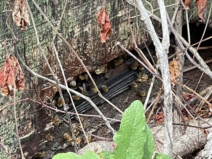 Quality Exterminators of Georgia Inc Picture 10