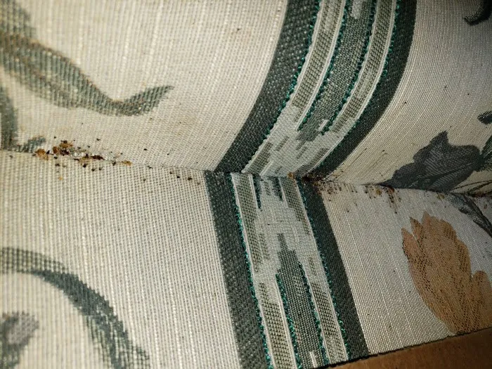 Quality Exterminators of Georgia Inc Picture 7