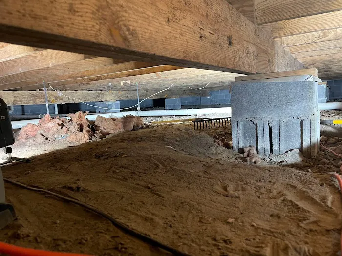 Quality Exterminators of Georgia Inc Picture 4
