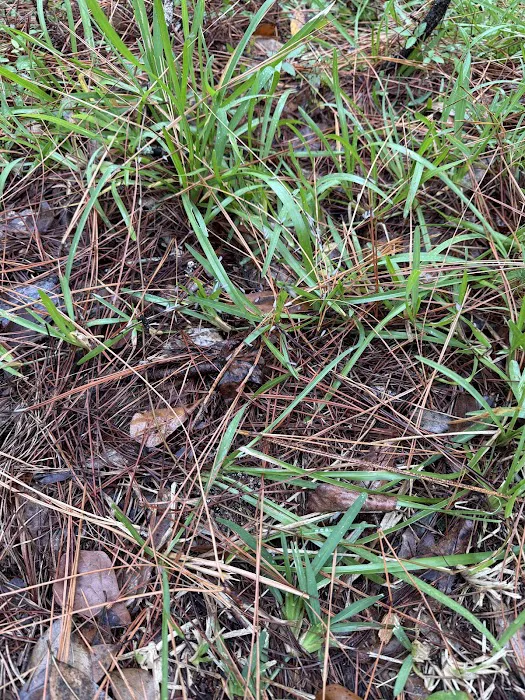 Quality Exterminators of Georgia Inc Picture 6