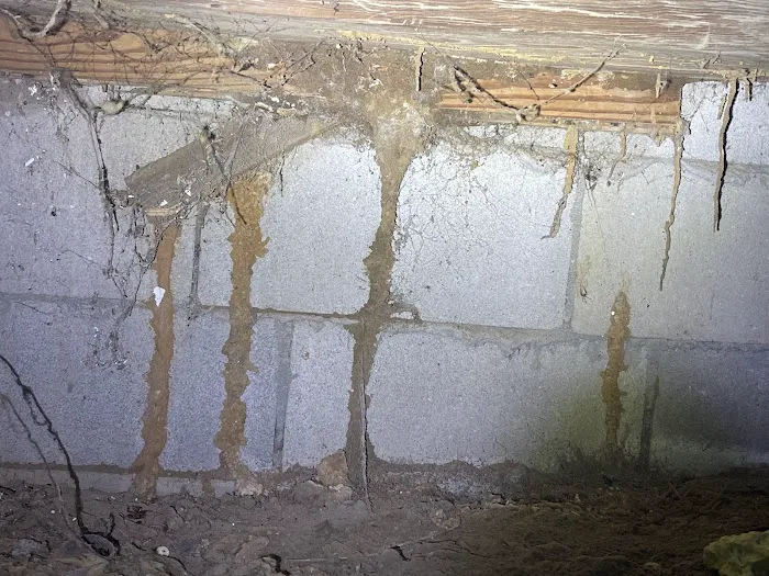 Quality Exterminators of Georgia Inc Picture 9