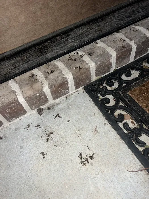 Yates-Astro Termite & Pest Control Picture 5