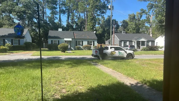 Bee Green Pest Solutions Picture 4