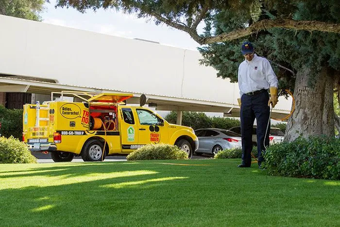 Truly Nolen Pest & Termite Control Picture 9
