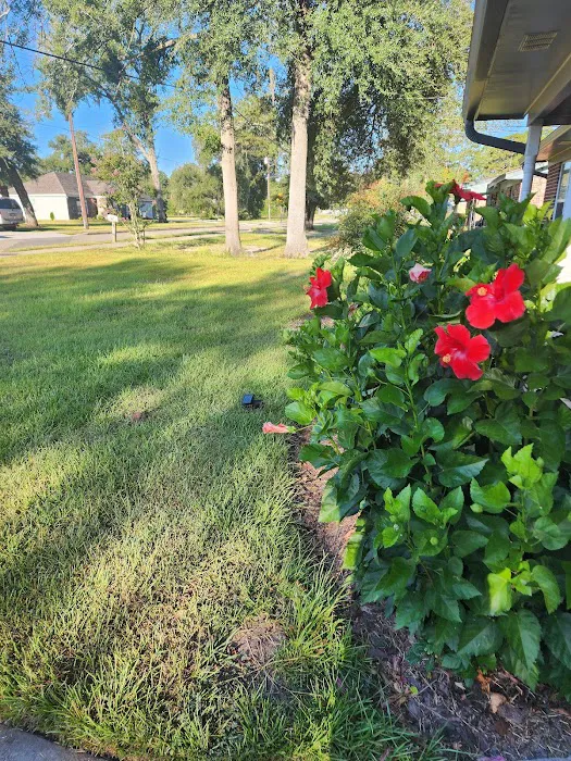 ProForce Pest Control - Savannah Picture 4