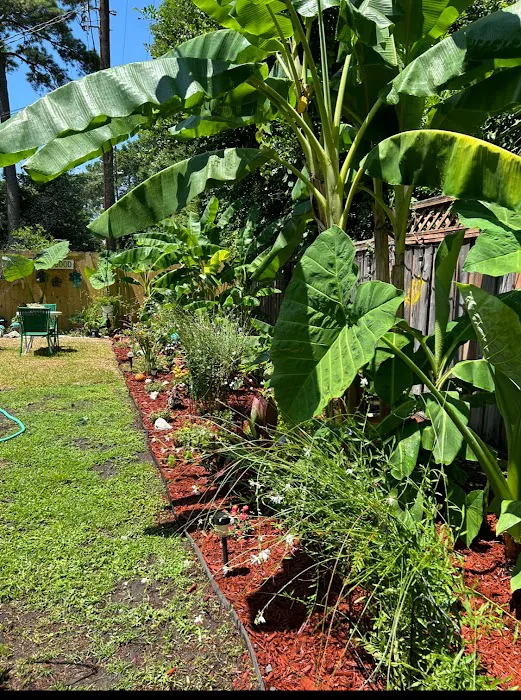 ProForce Pest Control - Savannah Picture 5